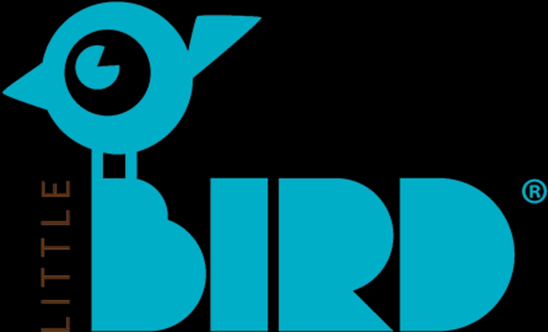 Logo_LITTLE BIRD
