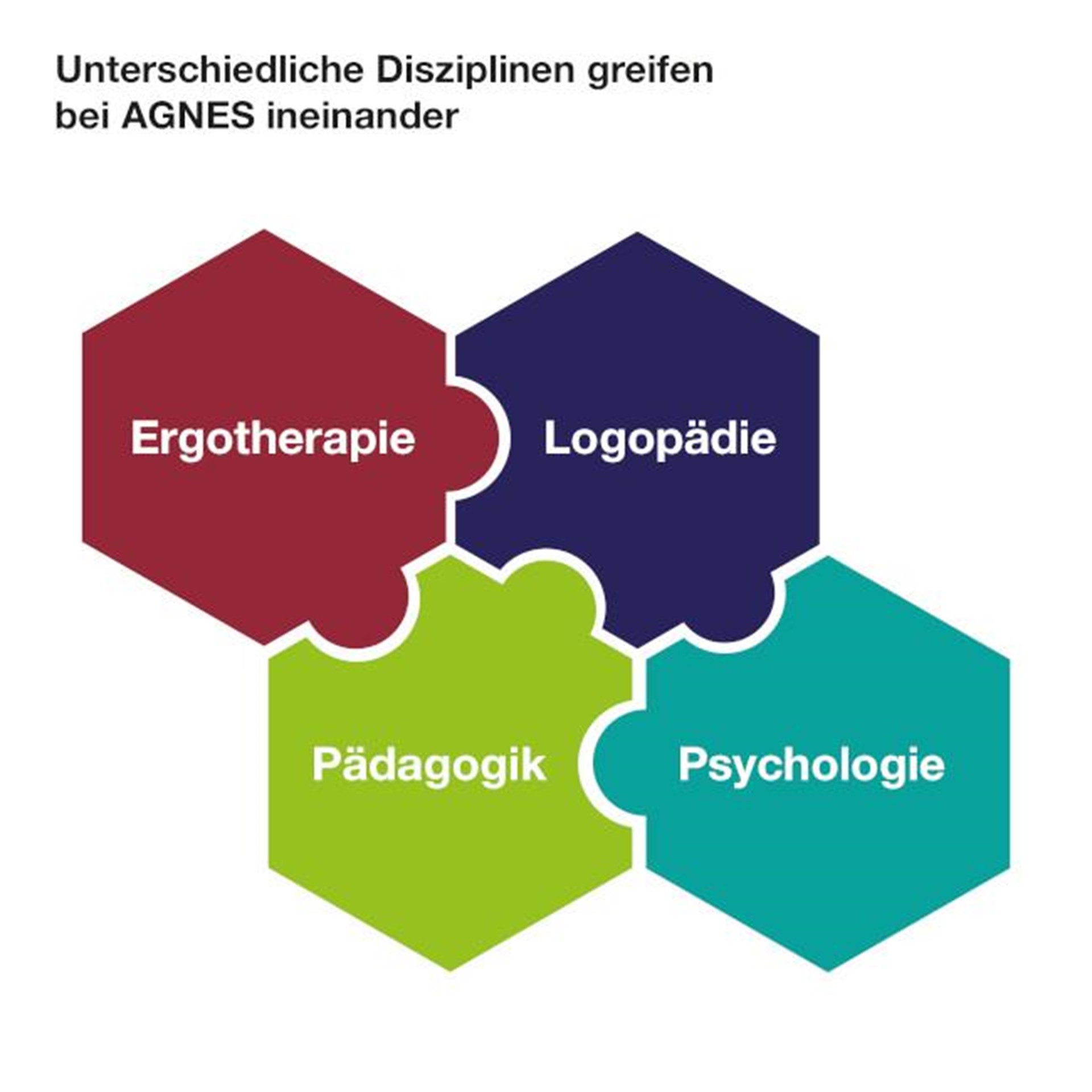 AGNES_Grafik Disziplinen